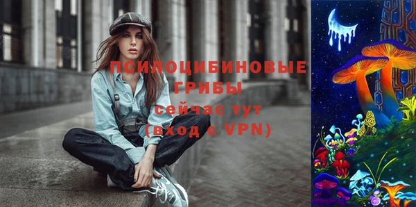 метадон Новозыбков